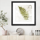 Fern II by Asia Jensen on GIANT ART - green botany
