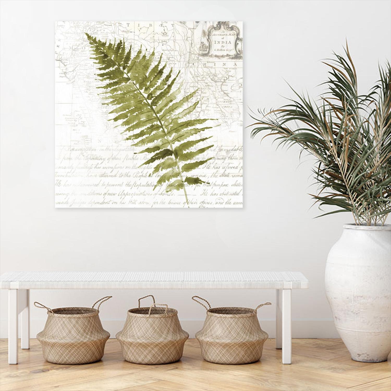 Fern II by Asia Jensen on GIANT ART - green botany