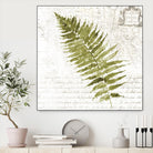 Fern II by Asia Jensen on GIANT ART - green botany
