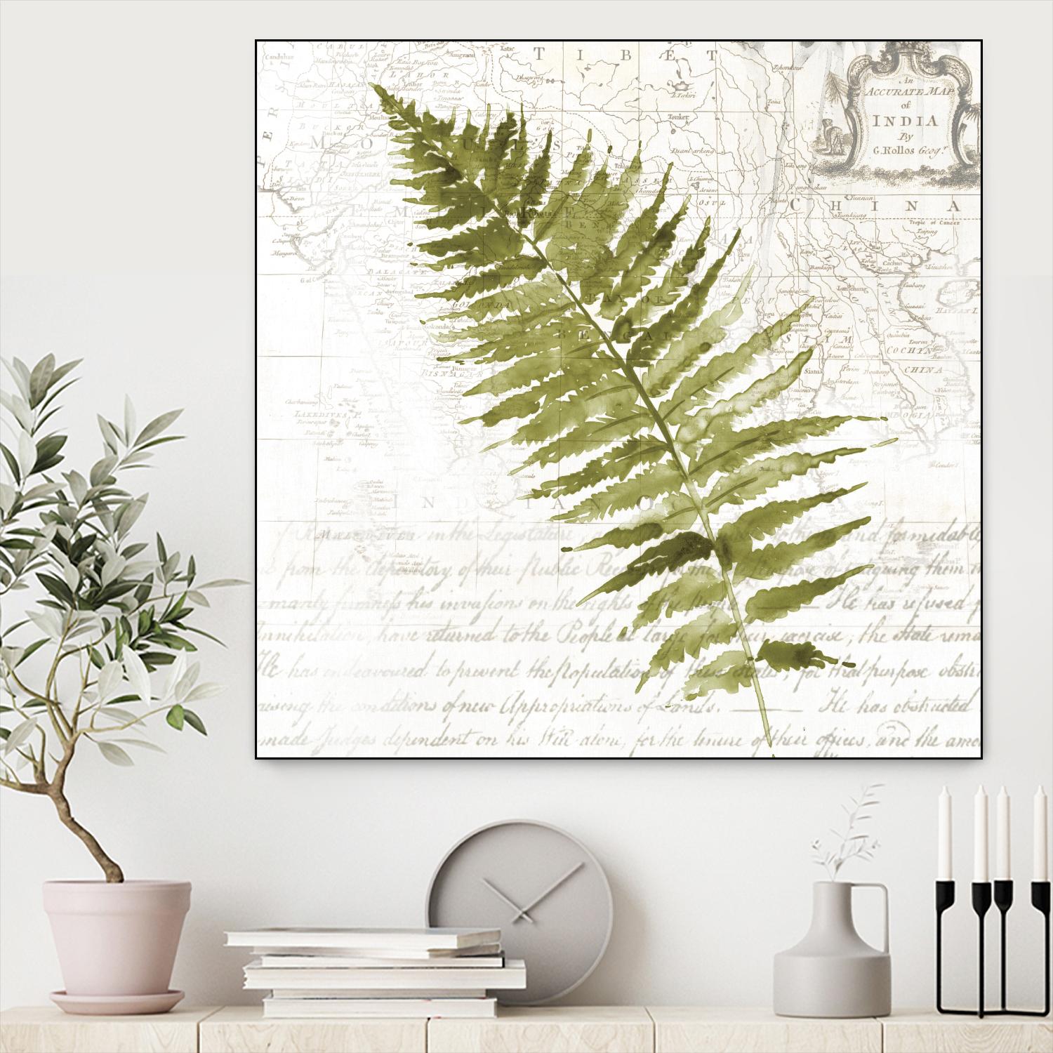Fern II by Asia Jensen on GIANT ART - green botany