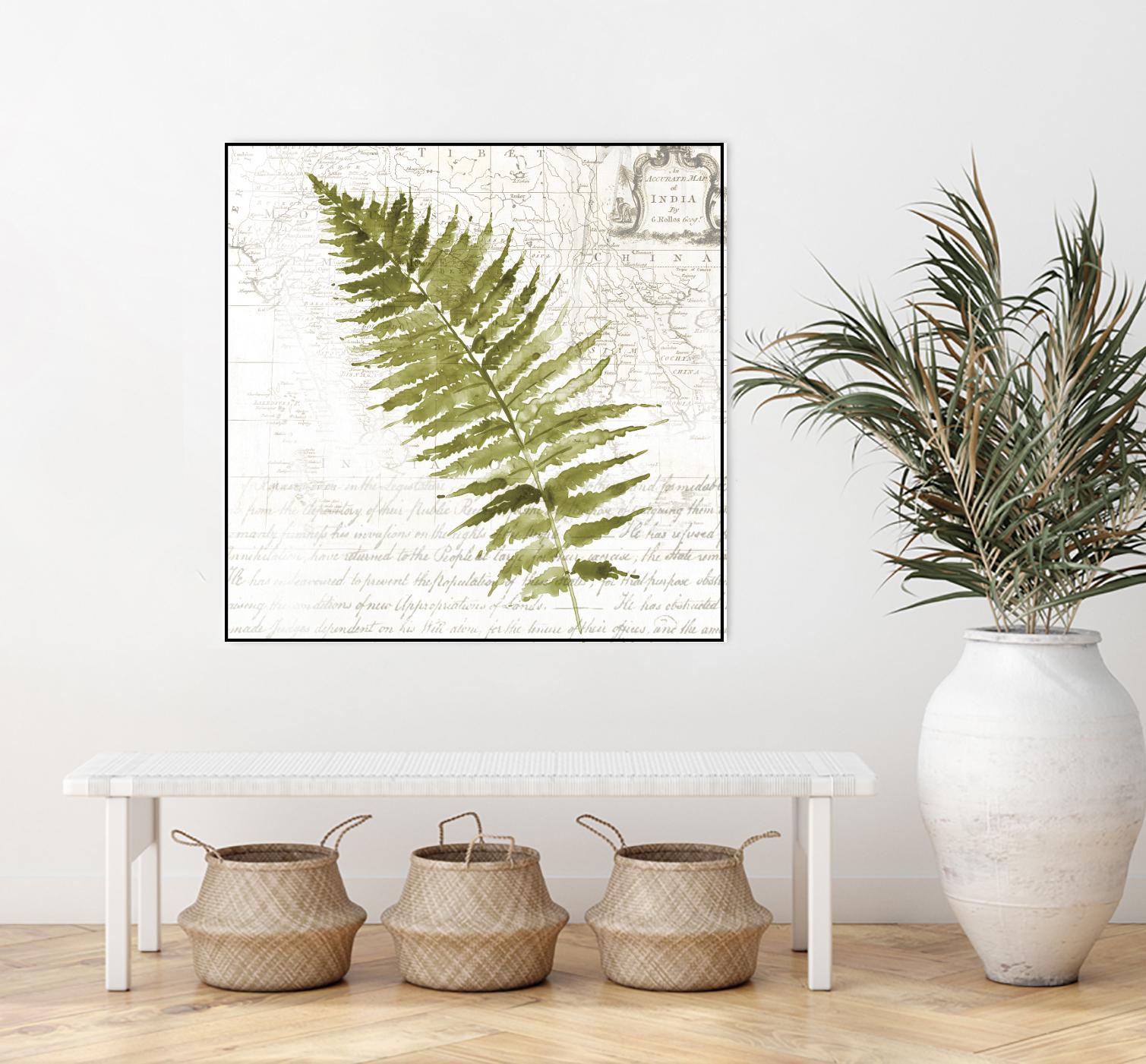 Fern II by Asia Jensen on GIANT ART - green botany