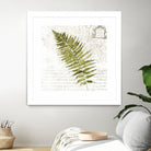 Fern II by Asia Jensen on GIANT ART - green botany