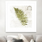 Fern II by Asia Jensen on GIANT ART - green botany