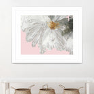 White Peony by Asia Jensen on GIANT ART - white floral