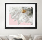 White Peony by Asia Jensen on GIANT ART - white floral
