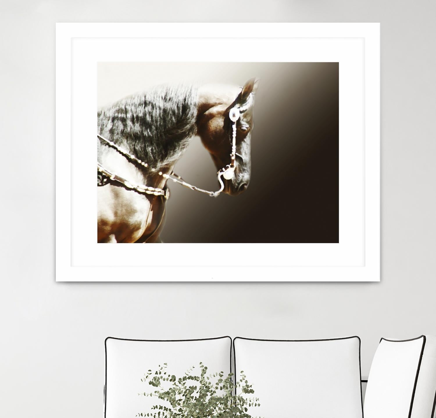 Black and Silver by Kari Brooks on GIANT ART - brown animals