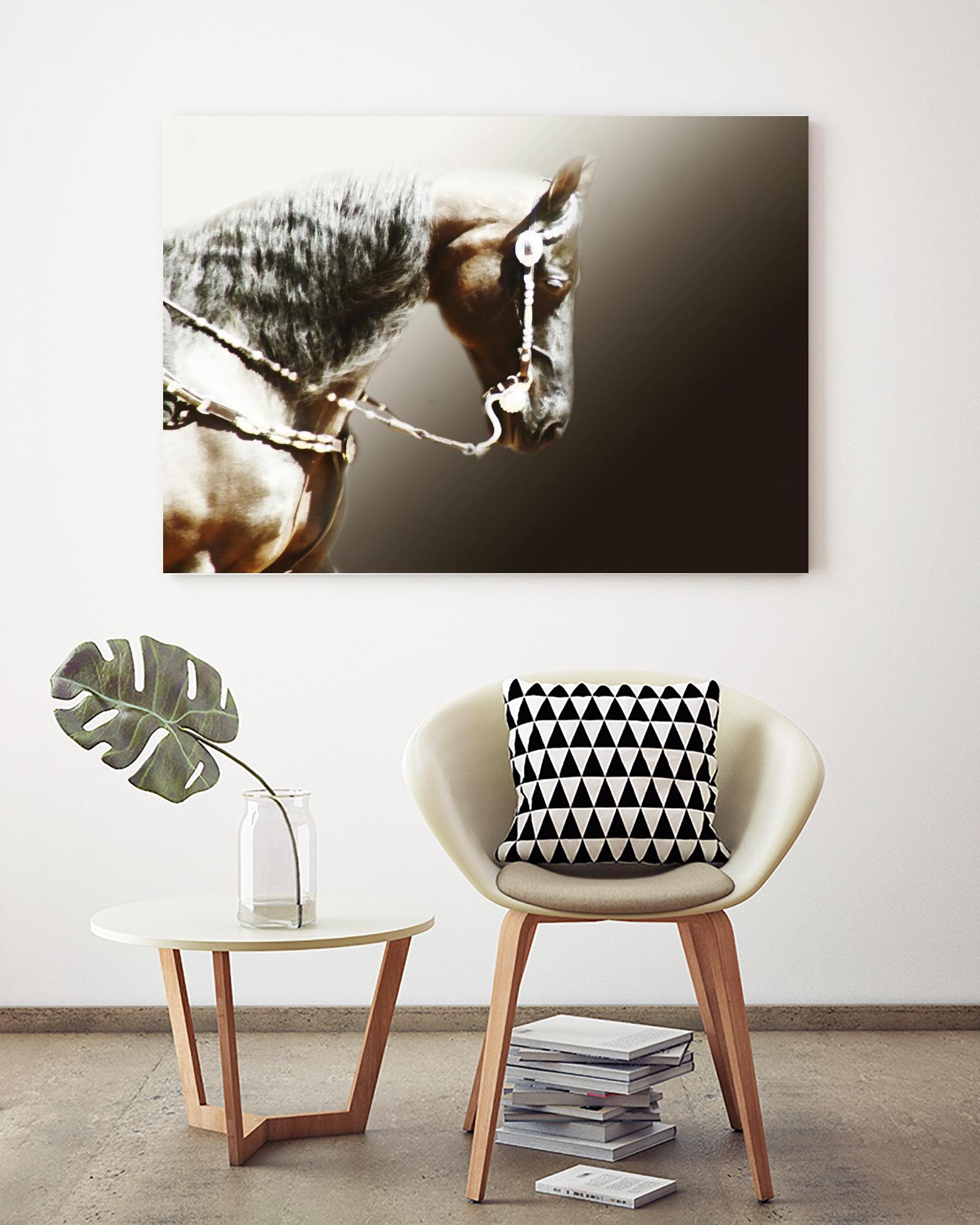 Black and Silver by Kari Brooks on GIANT ART - brown animals