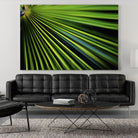 Tropical Bliss II by Norm Stelfox on GIANT ART - green photo art