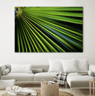 Tropical Bliss II by Norm Stelfox on GIANT ART - green photo art