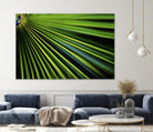 Tropical Bliss II by Norm Stelfox on GIANT ART - green photo art