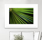 Tropical Bliss II by Norm Stelfox on GIANT ART - green photo art