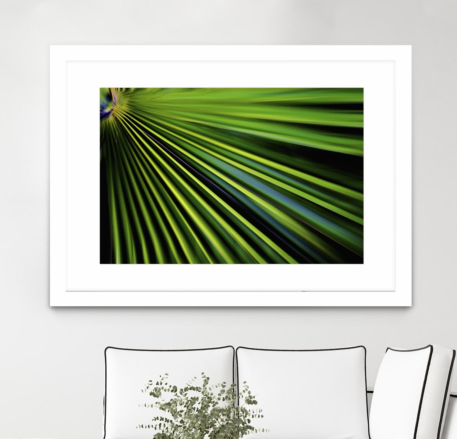 Tropical Bliss II by Norm Stelfox on GIANT ART - green photo art