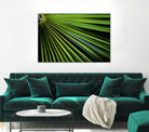 Tropical Bliss II by Norm Stelfox on GIANT ART - green photo art