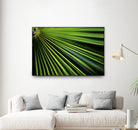 Tropical Bliss II by Norm Stelfox on GIANT ART - green photo art