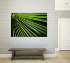 Tropical Bliss II by Norm Stelfox on GIANT ART - green photo art