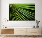 Tropical Bliss II by Norm Stelfox on GIANT ART - green photo art