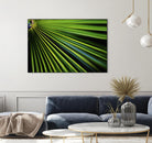Tropical Bliss II by Norm Stelfox on GIANT ART - green photo art