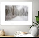 Foggy Lichen II by Norm Stelfox on GIANT ART - brown trees