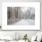 Foggy Lichen II by Norm Stelfox on GIANT ART - brown trees