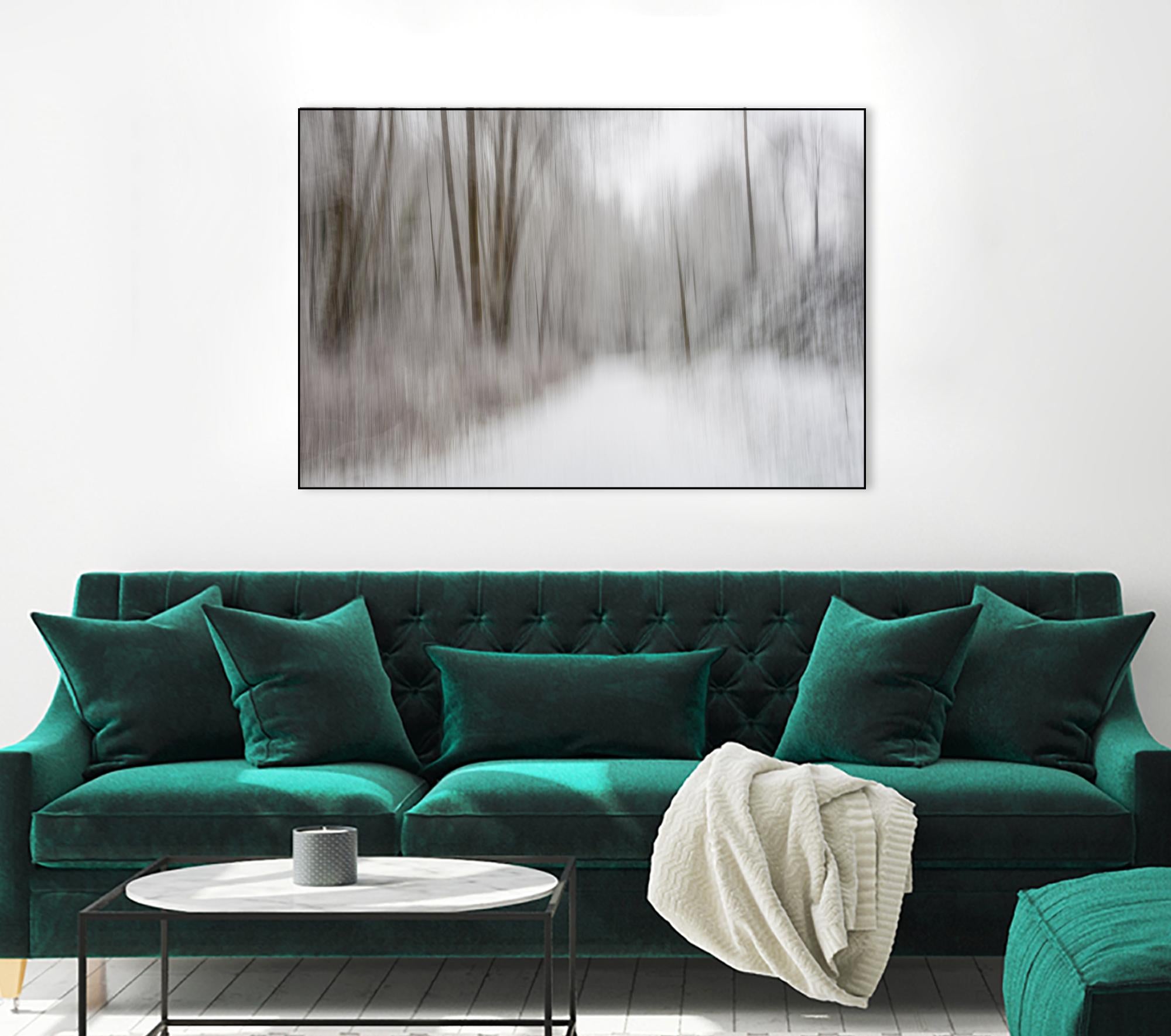 Foggy Lichen II by Norm Stelfox on GIANT ART - brown trees