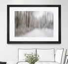 Foggy Lichen II by Norm Stelfox on GIANT ART - brown trees