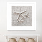 Little Treasures by Irena Orlov on GIANT ART - grey nautical