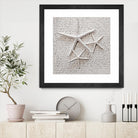 Little Treasures by Irena Orlov on GIANT ART - grey nautical