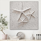 Little Treasures by Irena Orlov on GIANT ART - grey nautical