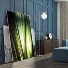 Organic I by PI Studio on GIANT ART - black photo art