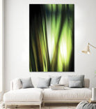 Organic I by PI Studio on GIANT ART - black photo art