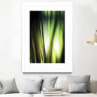 Organic I by PI Studio on GIANT ART - black photo art