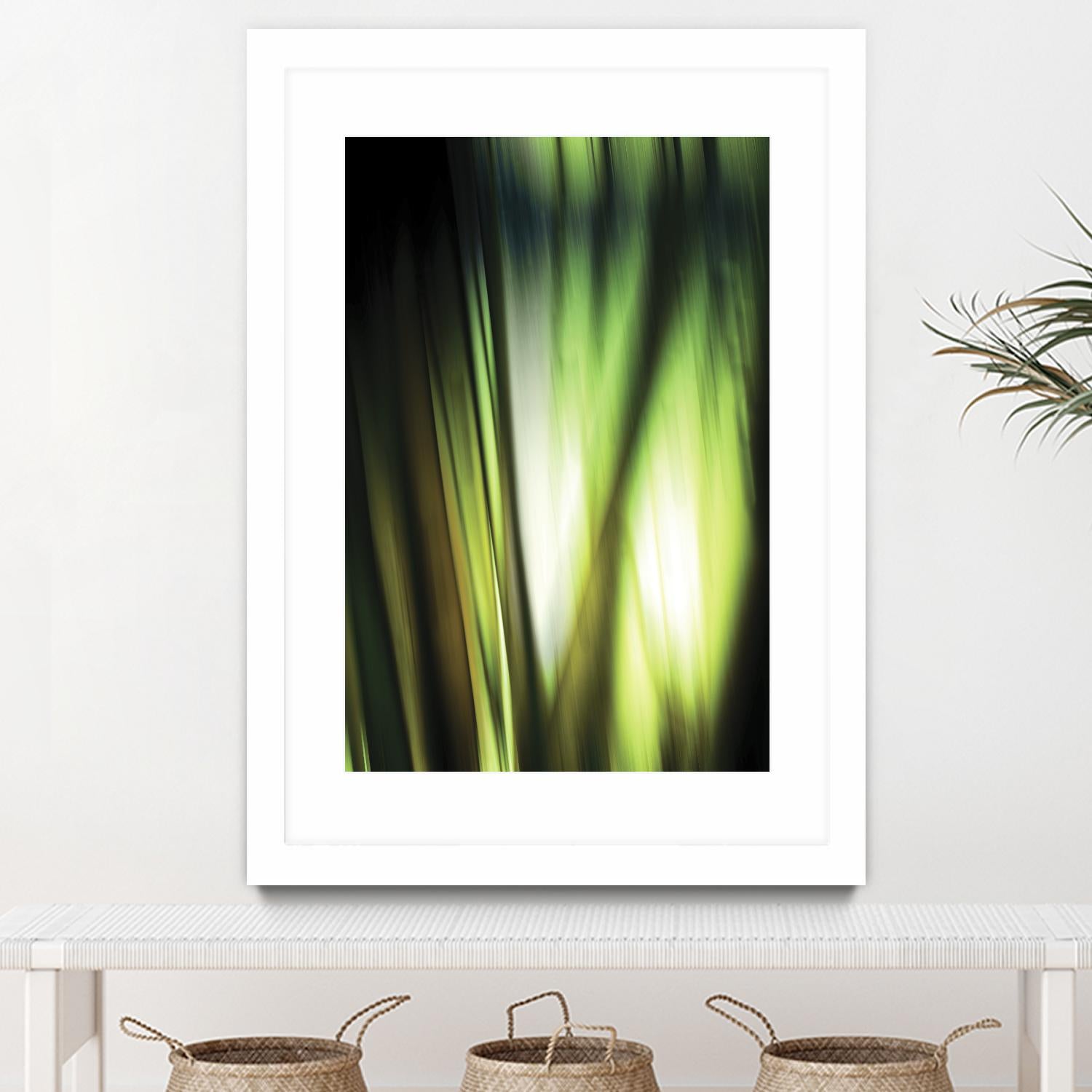 Organic I by PI Studio on GIANT ART - black photo art