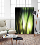 Organic I by PI Studio on GIANT ART - black photo art