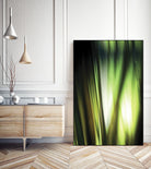 Organic I by PI Studio on GIANT ART - black photo art