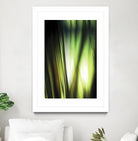 Organic I by PI Studio on GIANT ART - black photo art