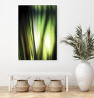 Organic I by PI Studio on GIANT ART - black photo art