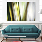 Organic II by PI Studio on GIANT ART - white photo art