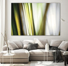 Organic II by PI Studio on GIANT ART - white photo art