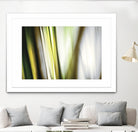 Organic II by PI Studio on GIANT ART - white photo art