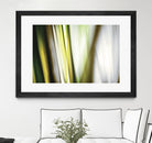 Organic II by PI Studio on GIANT ART - white photo art