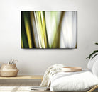 Organic II by PI Studio on GIANT ART - white photo art