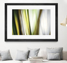 Organic II by PI Studio on GIANT ART - white photo art