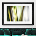 Organic II by PI Studio on GIANT ART - white photo art