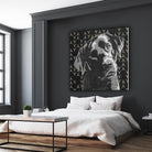 Lab by PI Studio on GIANT ART - grey animals