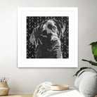 Lab by PI Studio on GIANT ART - grey animals