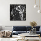 Lab by PI Studio on GIANT ART - grey animals