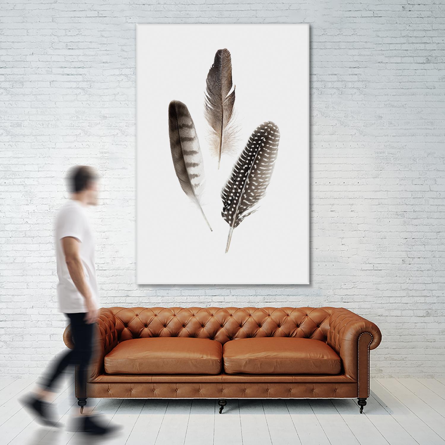 Feathers I by PI Studio on GIANT ART - brown animals
