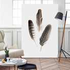Feathers I by PI Studio on GIANT ART - brown animals