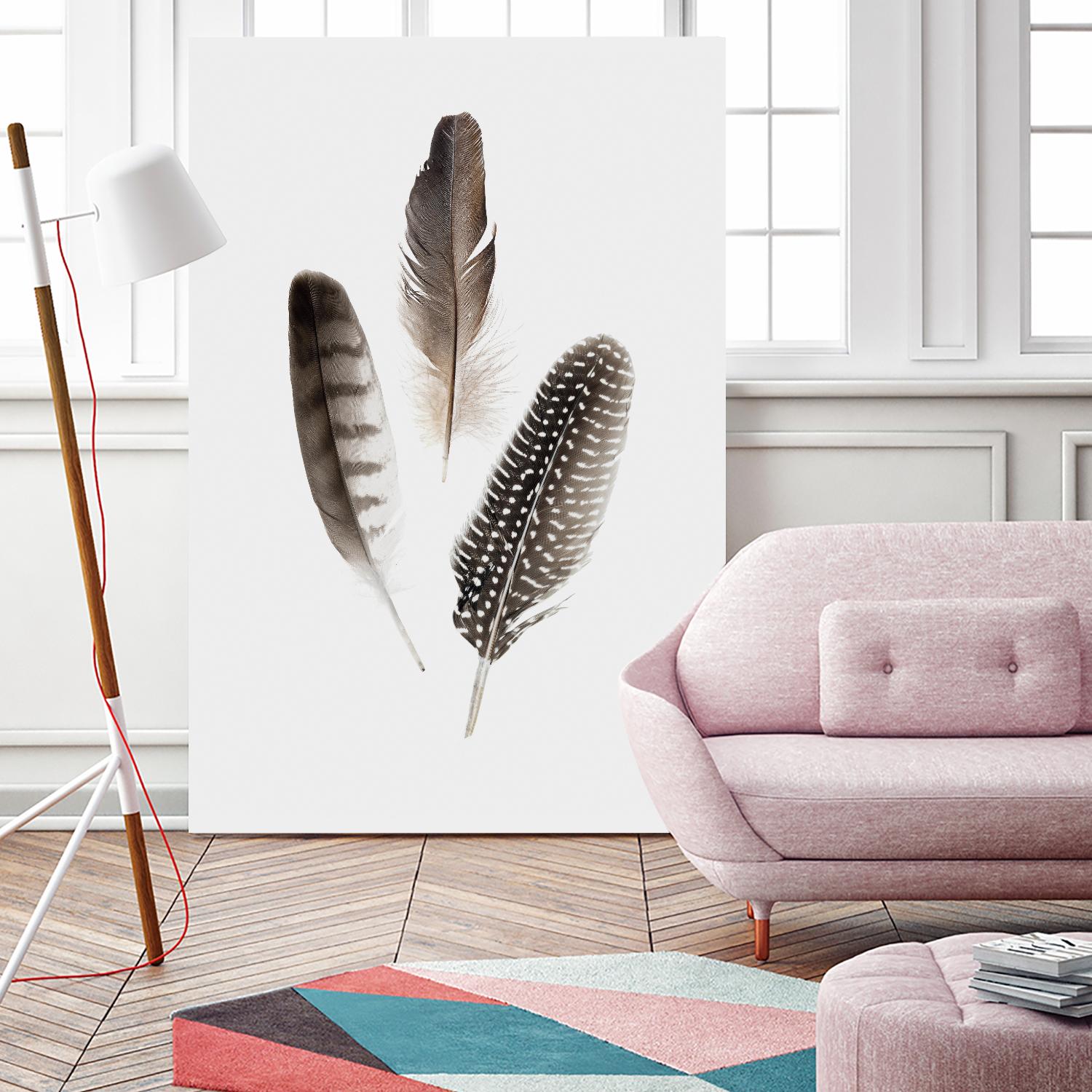 Feathers I by PI Studio on GIANT ART - brown animals