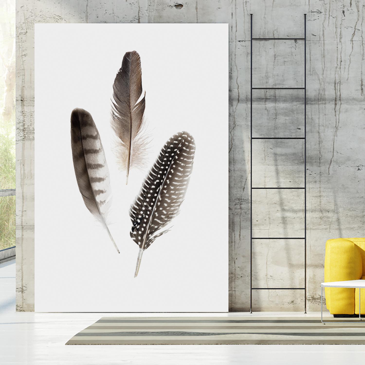Feathers I by PI Studio on GIANT ART - brown animals